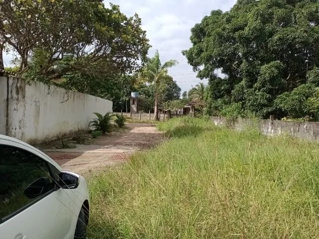 Foto - Recife - Córrego do Jenipapo