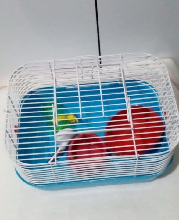 Gaiola transporte de hamster