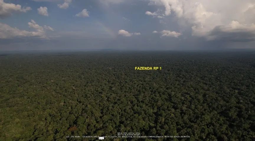 Fazenda 10.030 hectares Fonte Boa - AM, Carbono, Manejo Florestal, Pecuária e Agricultura - Foto 5