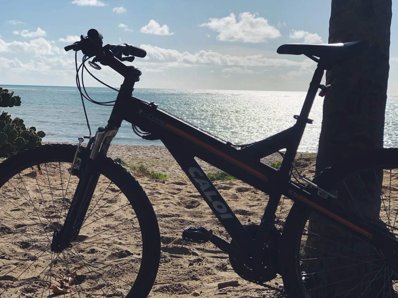 Bicicleta Caloi T-Type