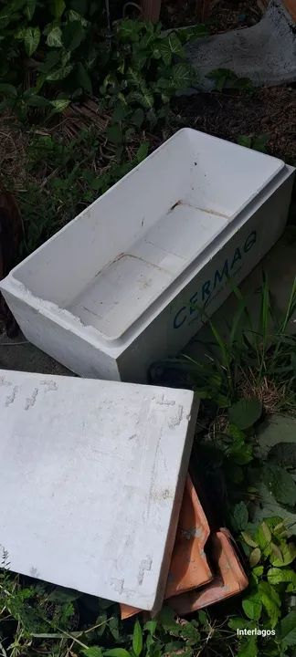 Caixa de isopor 