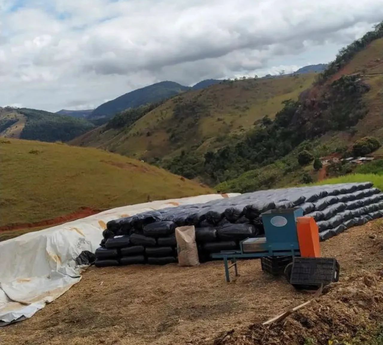 Silagem de milho ensacada - Foto 4