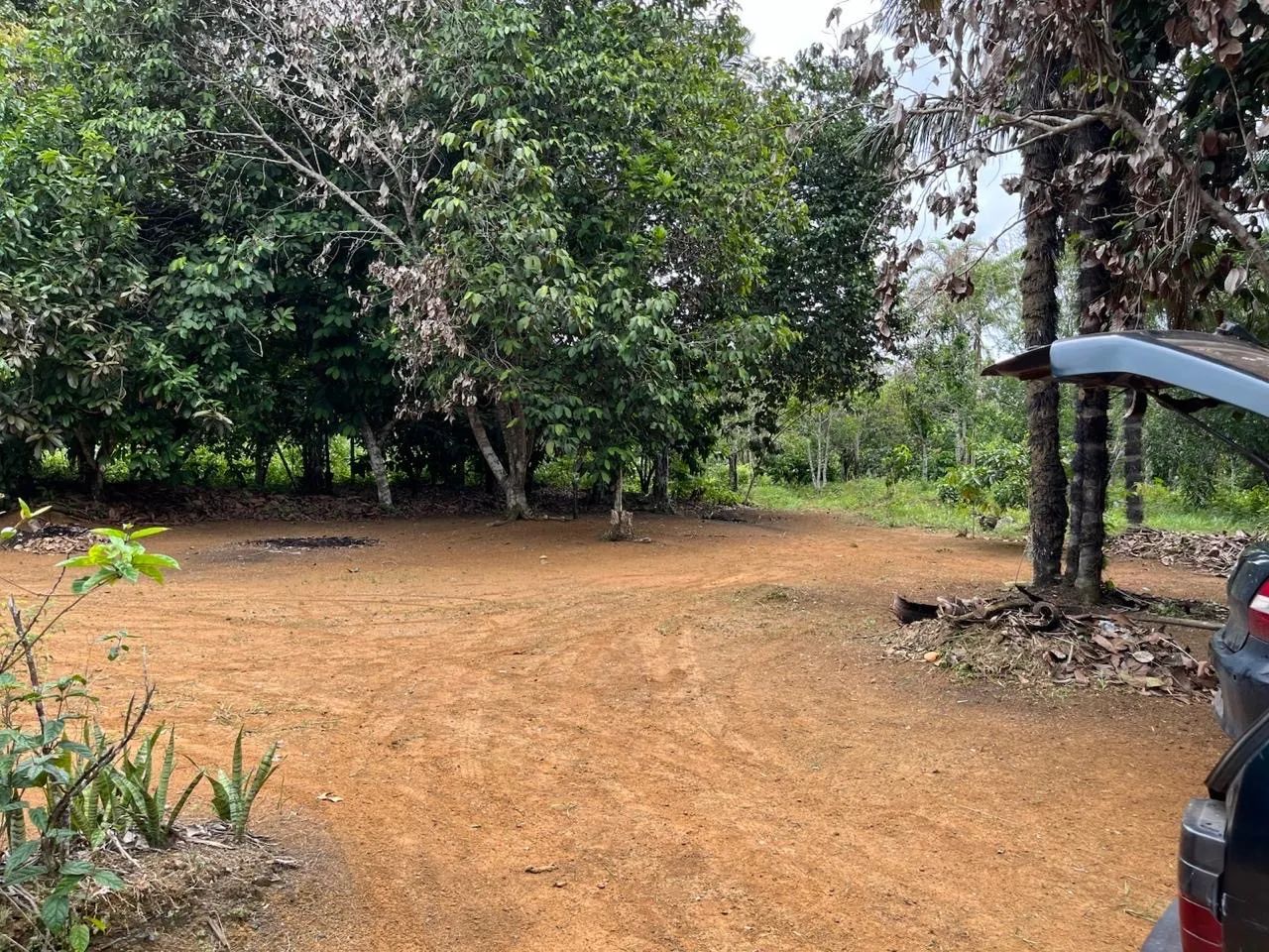 Vendo/Troco sítio no purupuru com 2 casas de madeira e garapé no quintal  - Foto 4