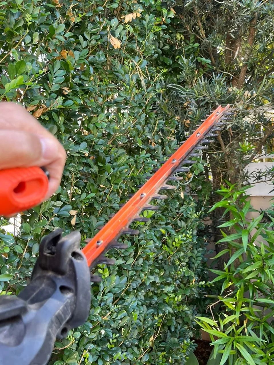 Aparador De cerca viva Black Decker - Foto 3