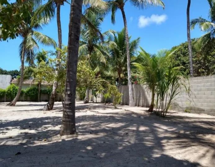Lote no condomínio Bouganville na Praia de Pipa - Foto 4