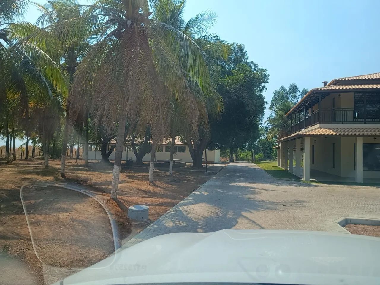 Faz 339 Alq 225 de pasto próx a capital  - Foto 4