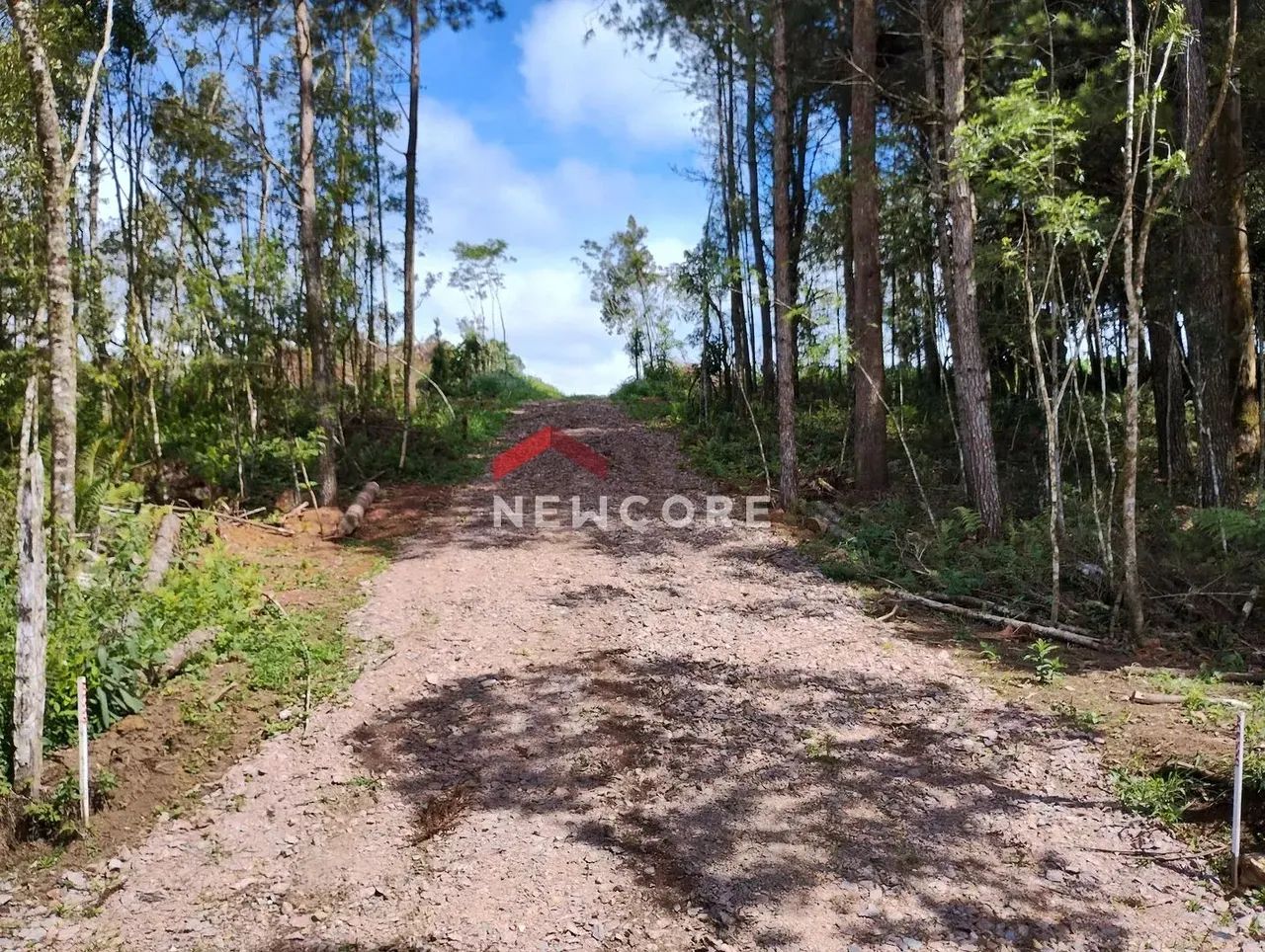 Lote em Rua Hermenegildo Soares Machado - Roseira de São Sebastião - São José dos Pinhais/ - Foto 3