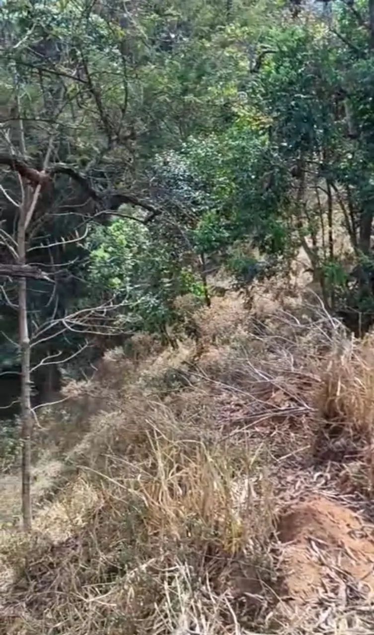 Excelente Terreno pra Chácara 2000m²,Itajubá M/G - Foto 5