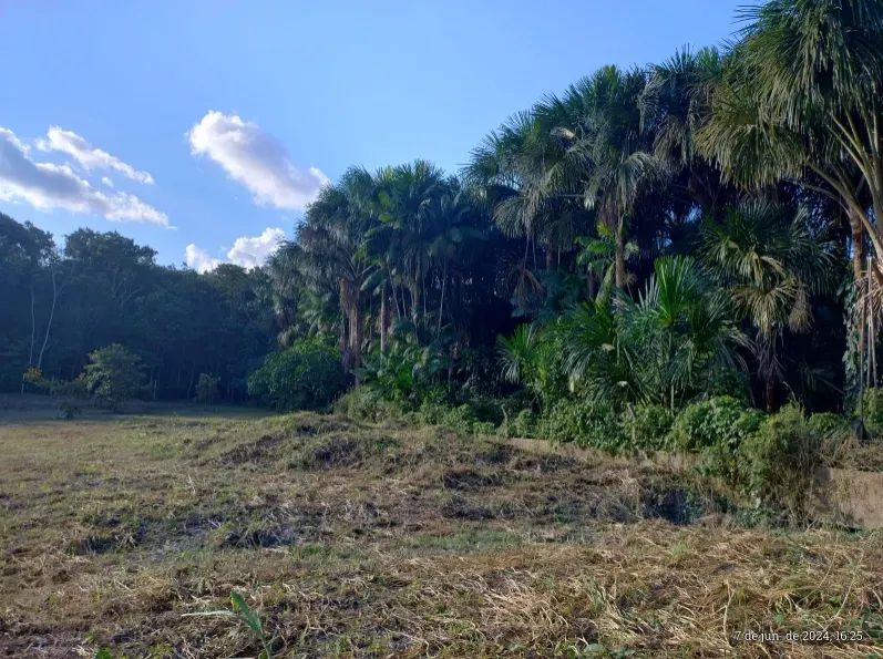 Vende-se terreno na Torquato Tapajós - Foto 5