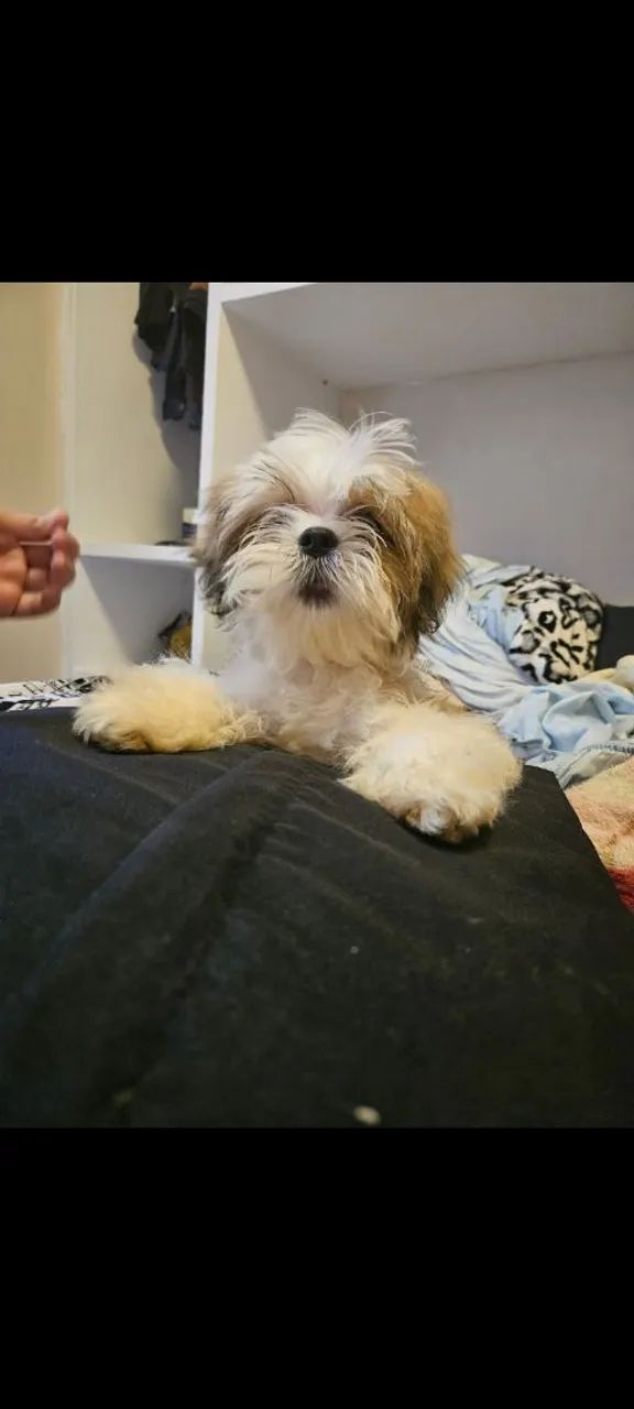 Procuro uma namorada  - Foto 2