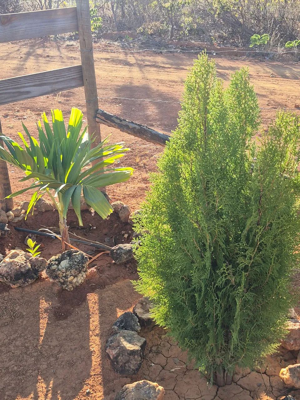 Chácara de mil metros joia do cerrado  - Foto 14