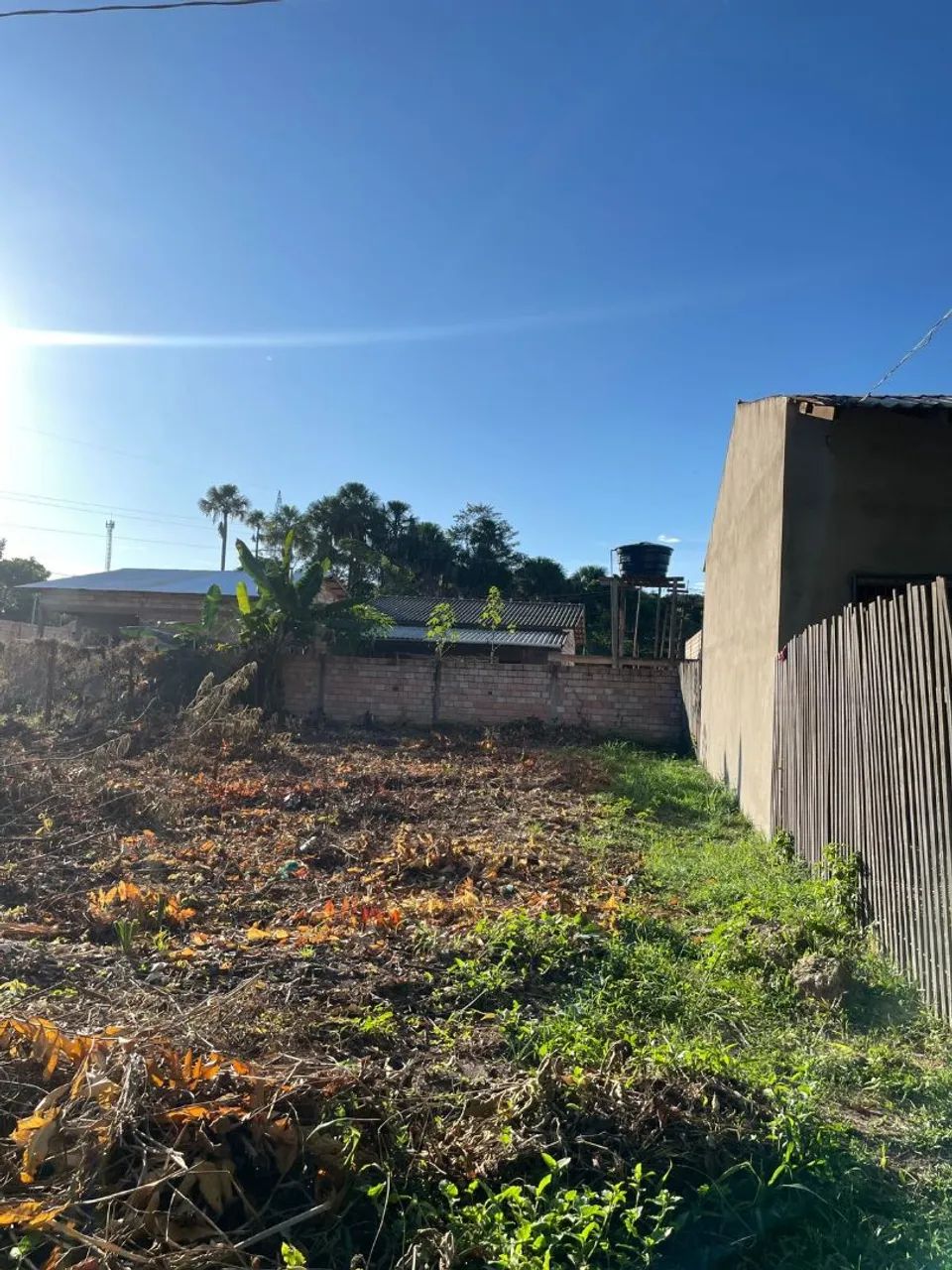 Foto - Santarém - Maicá