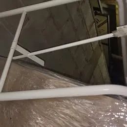 Maca branca - Foto 2