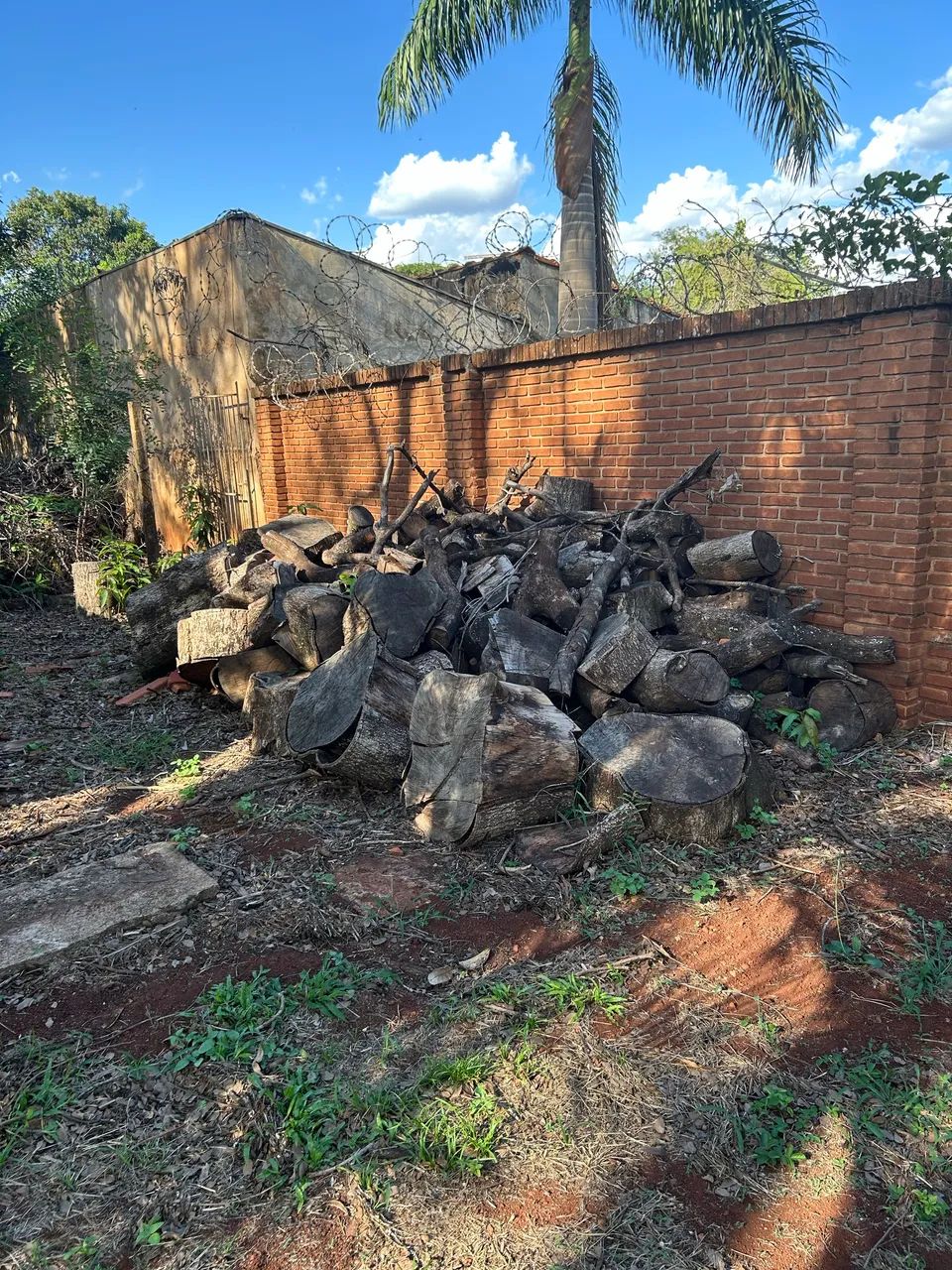 Lenha seca em toras - Foto 2