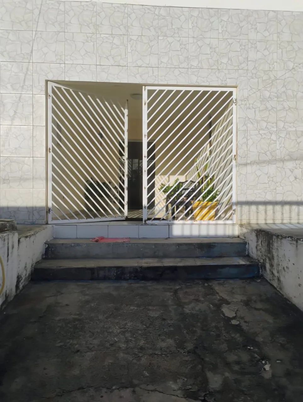 Foto - João Pessoa - Ipês