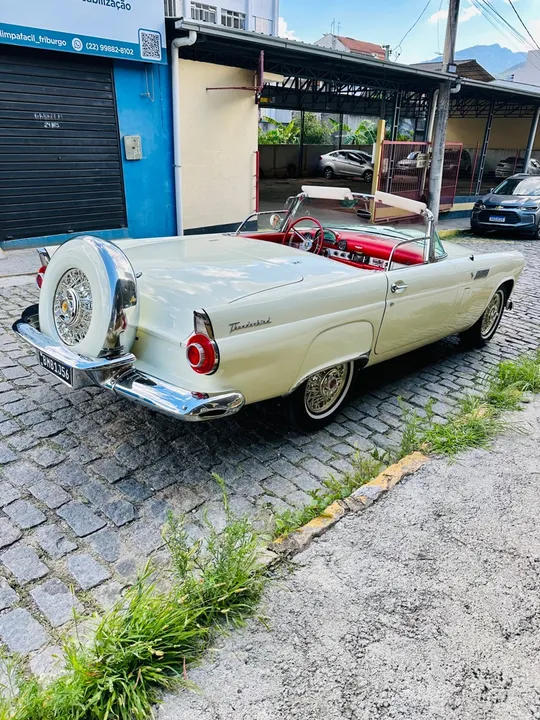 503598126786537.webp