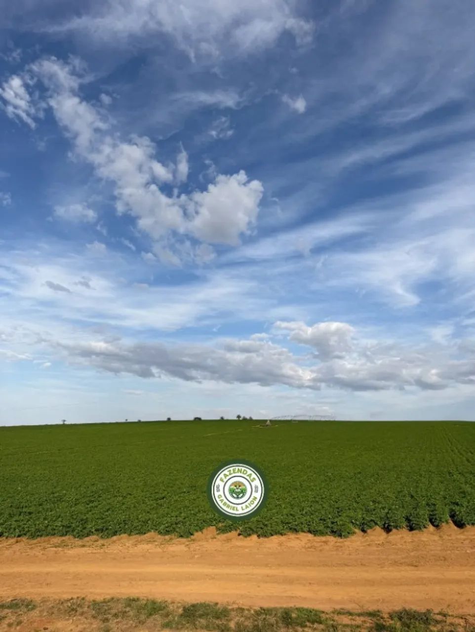 Fazenda irrigada de 140 hectares entre Araxá/Perdizes  - Foto 2