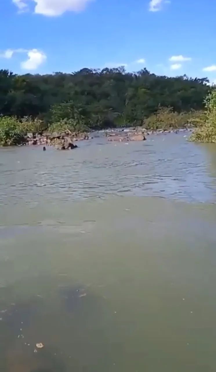 Fazenda em Arenópolis-go - Foto 3