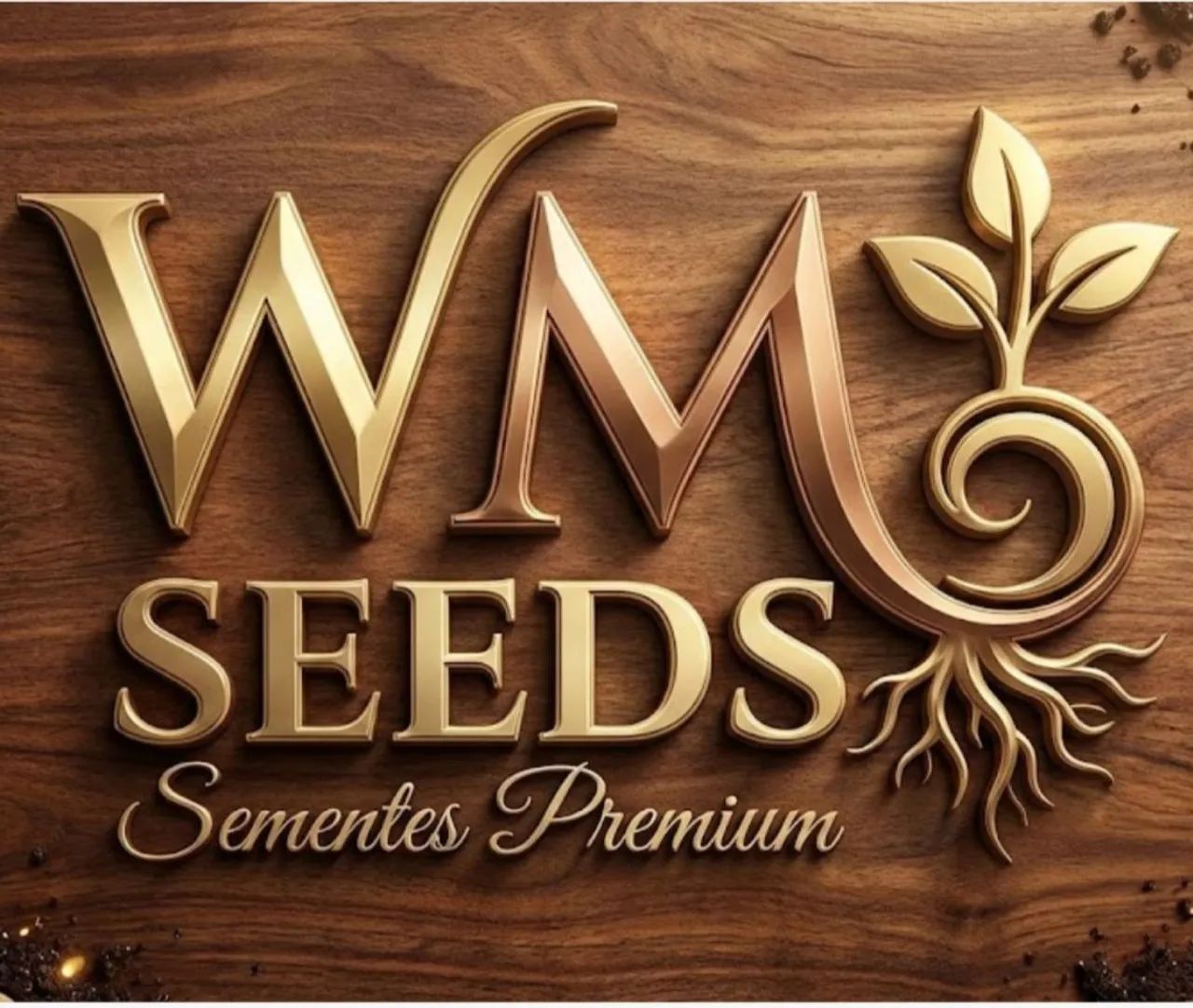 WM SEEDS Sementes Premium diferenciadas - Foto 2