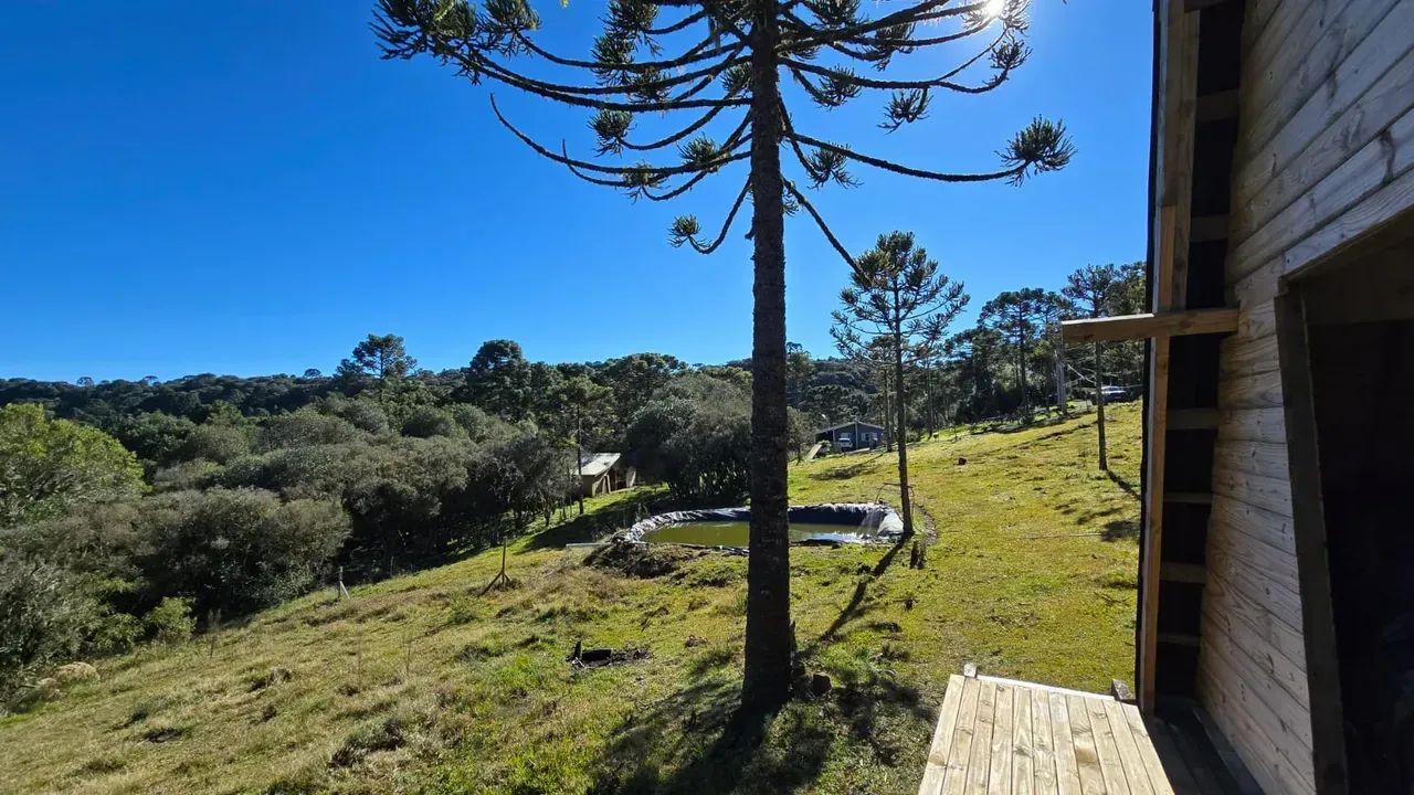 Terreno com casa e lindo riacho em Urupema - Foto 5