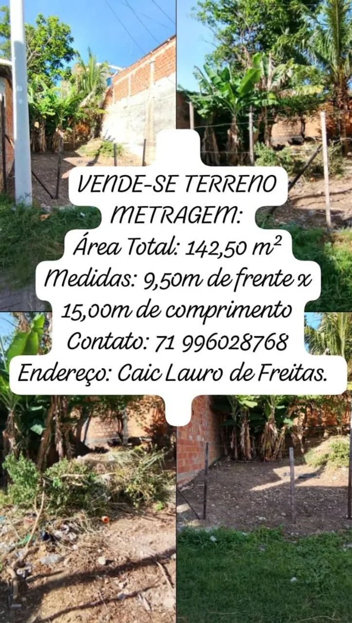 Foto - Lauro de Freitas - Caji