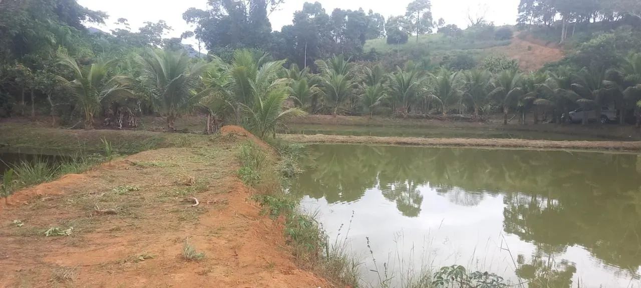 Bela propriedade em Ibiraçu - Foto 2
