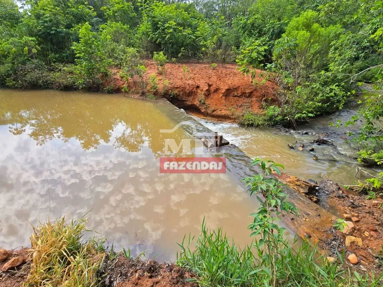 Fazenda 164,5 alqueires (796 hectares) Ipameri - Go - Foto 3