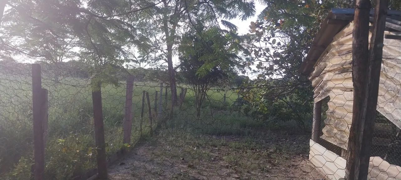 Sítio 23hec - Foto 4