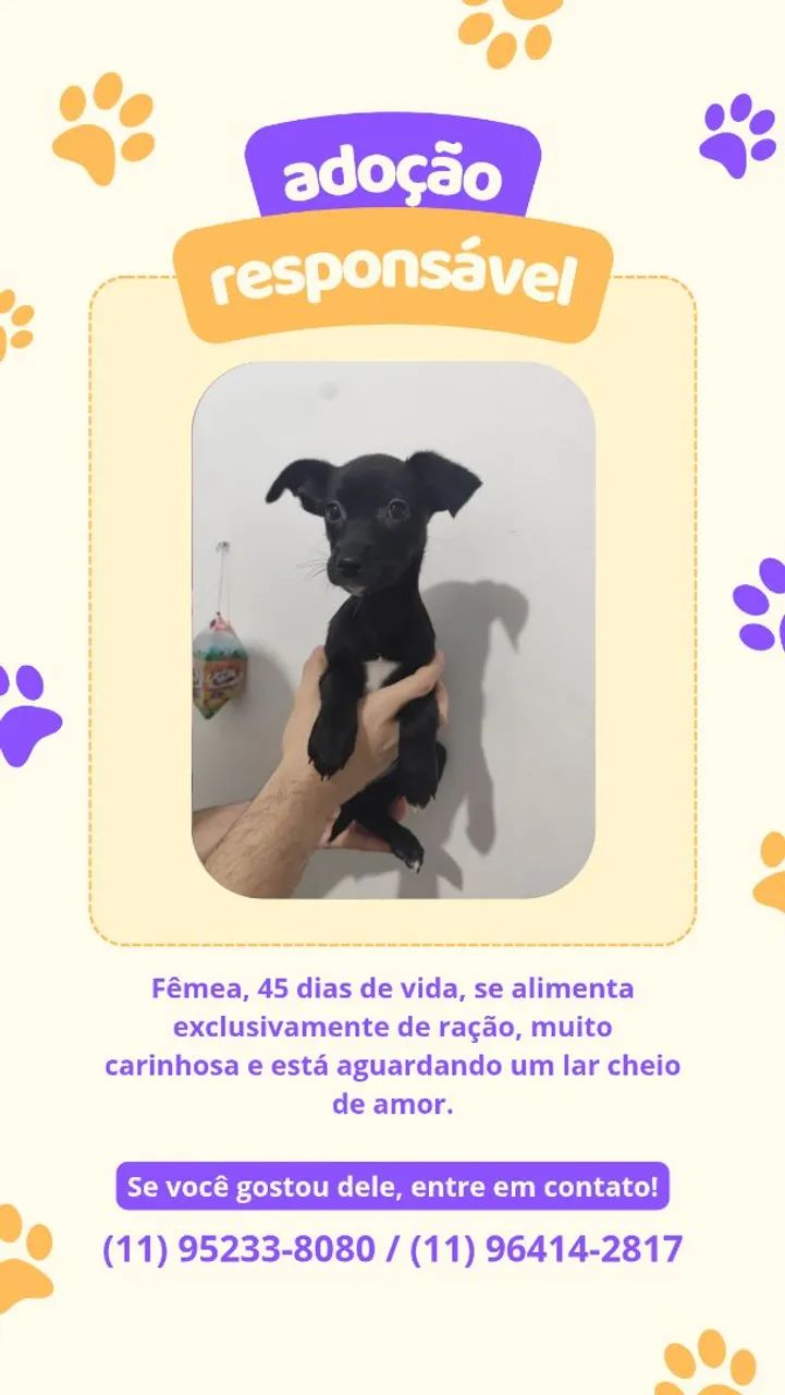 DOAÇÃO - Foto 3