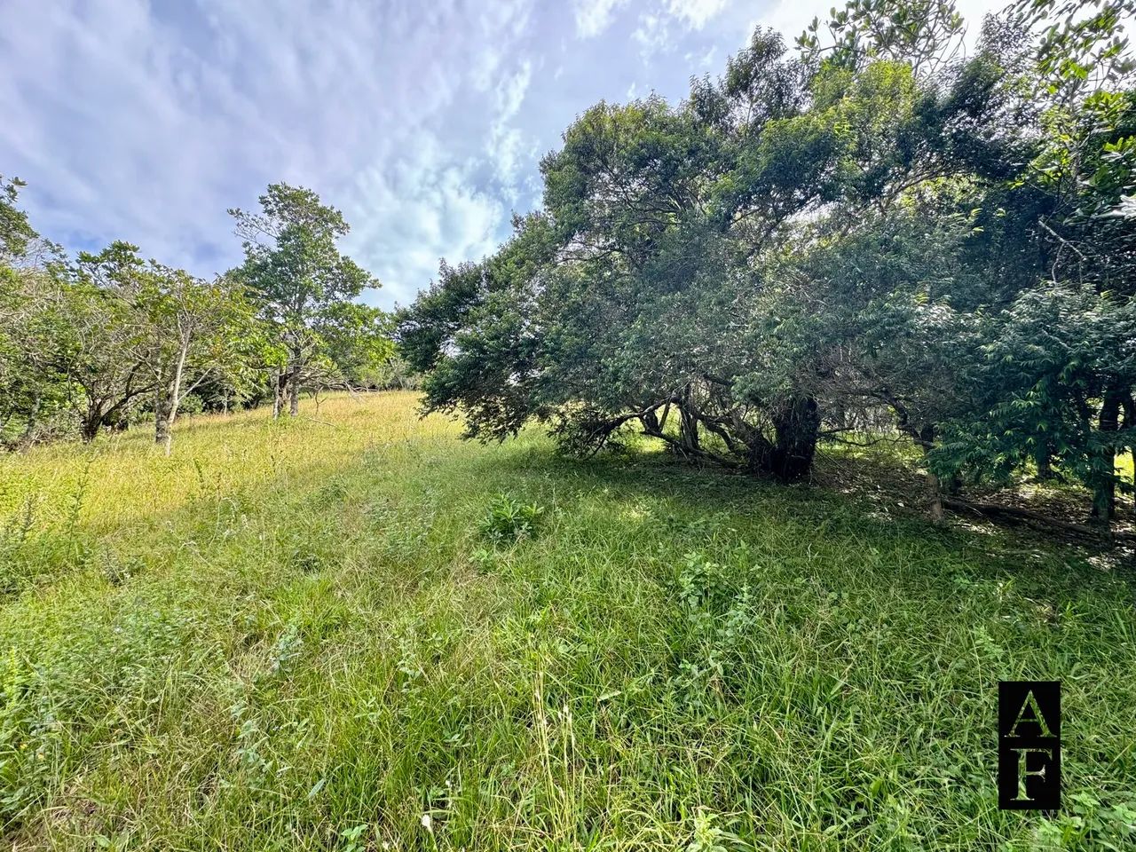 Terreno em Garopaba no Morro da Silveira - Foto 5