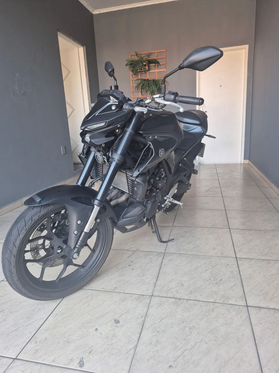 Mt 03 2022  - Foto 3