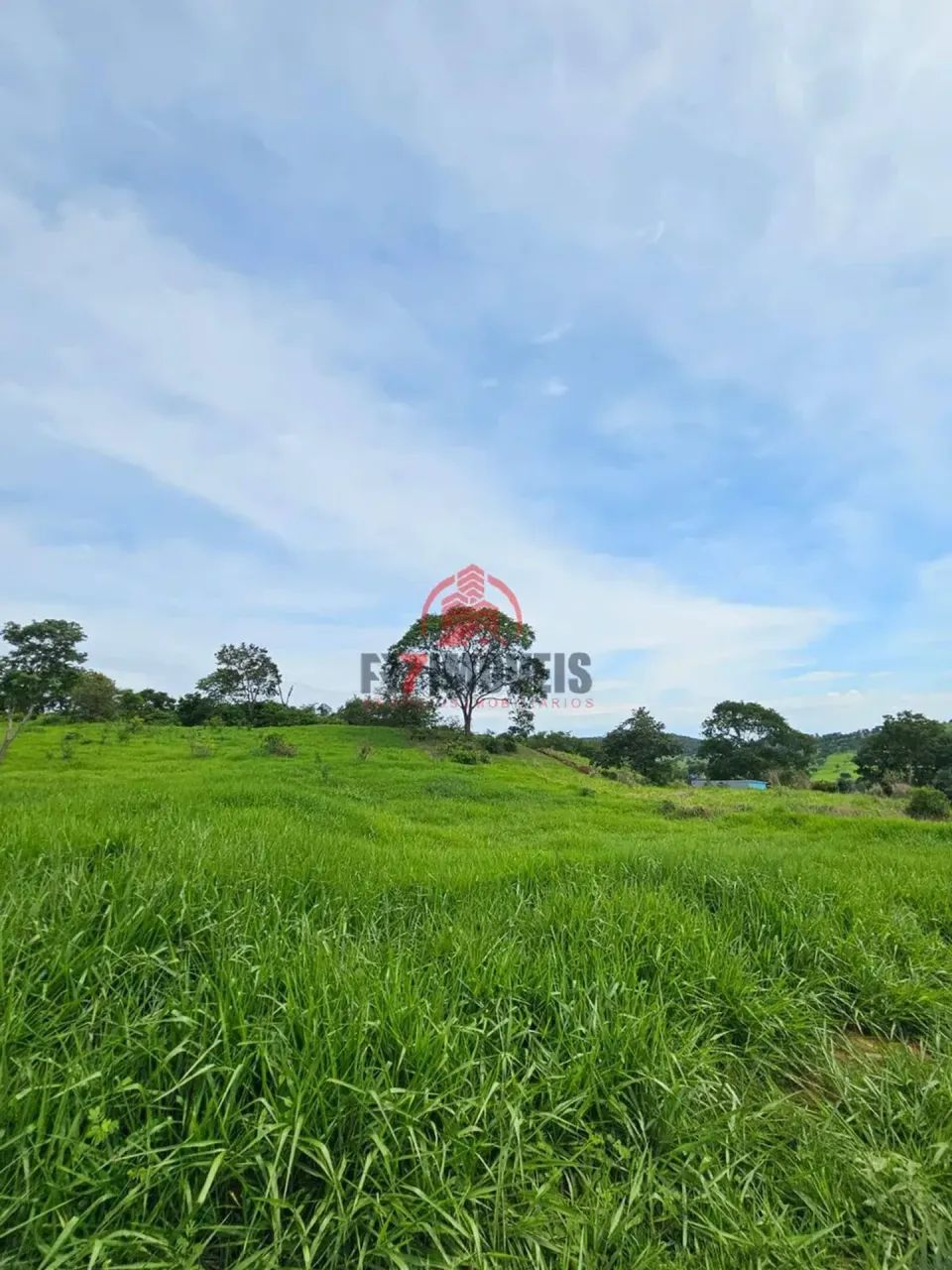 CHÁCARA EM SANTO ANTÔNIO DE GOIÁS  GO - Foto 5