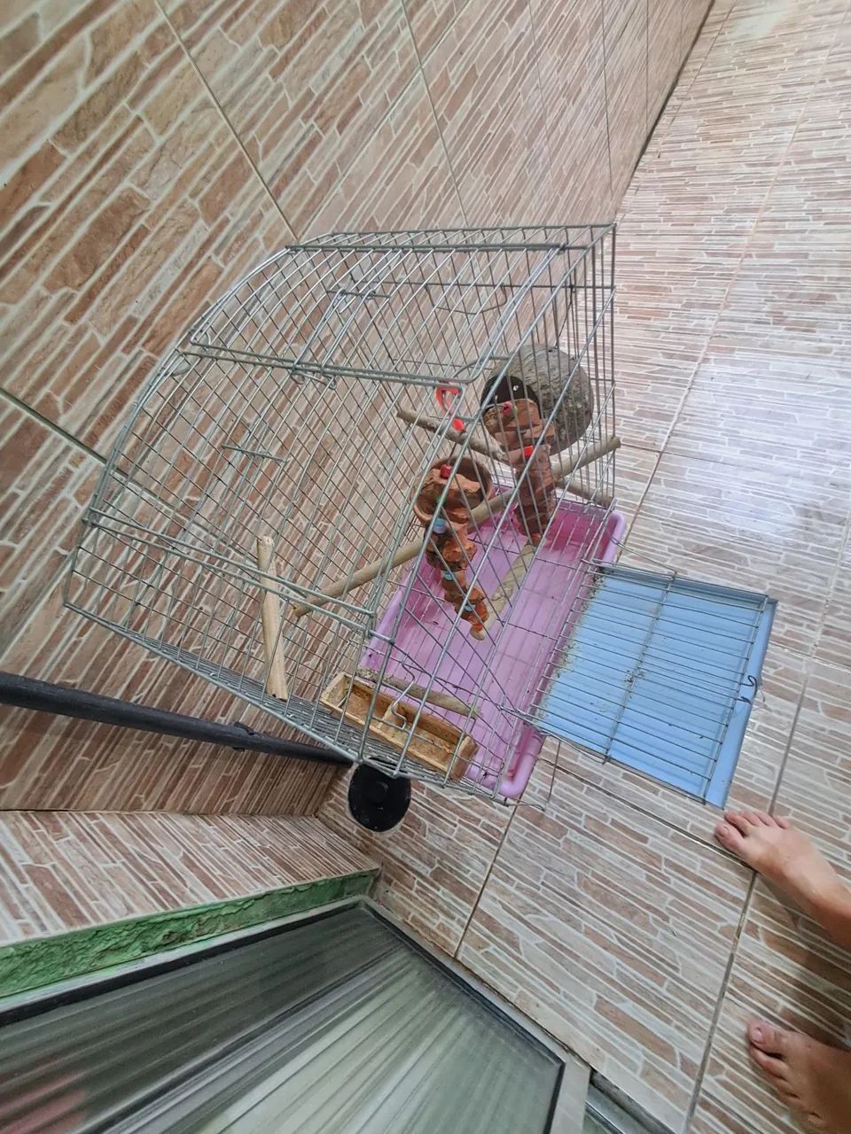 Vendo viveiro para pássaros  - Foto 2