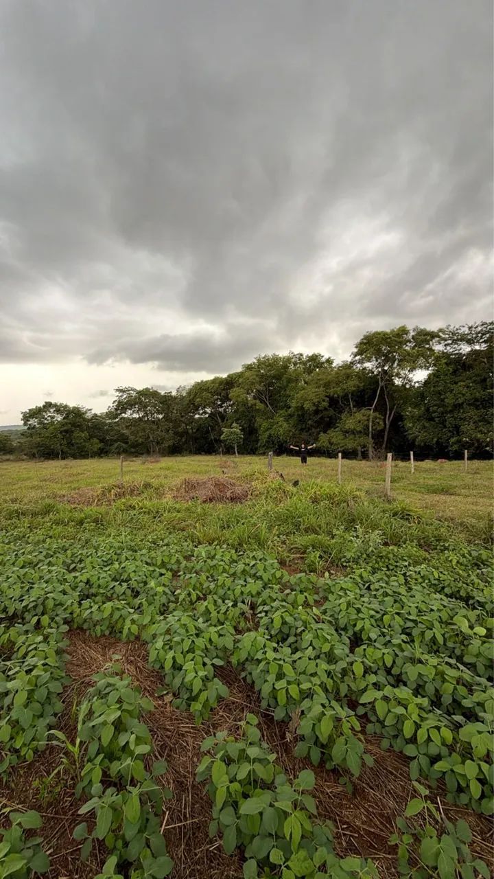chácara/fazenda Bela Vista Goias - Foto 2