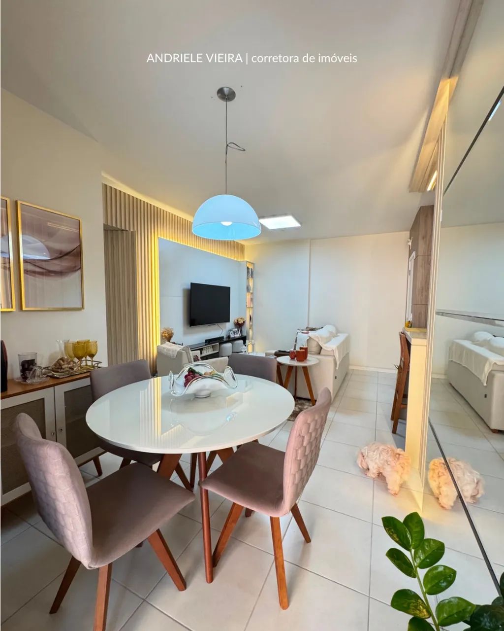 Apartamento próximo ao Bistekinho - Foto 5
