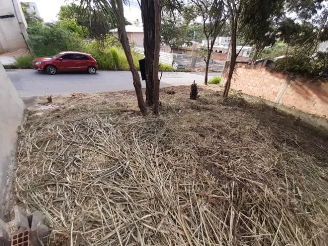 Lote Bairro Liberdade - 253,61 m² - Foto 2