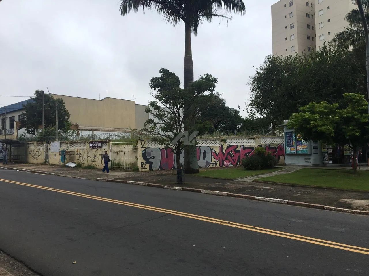 terreno - Vila João Jorge - Campinas - Foto 5