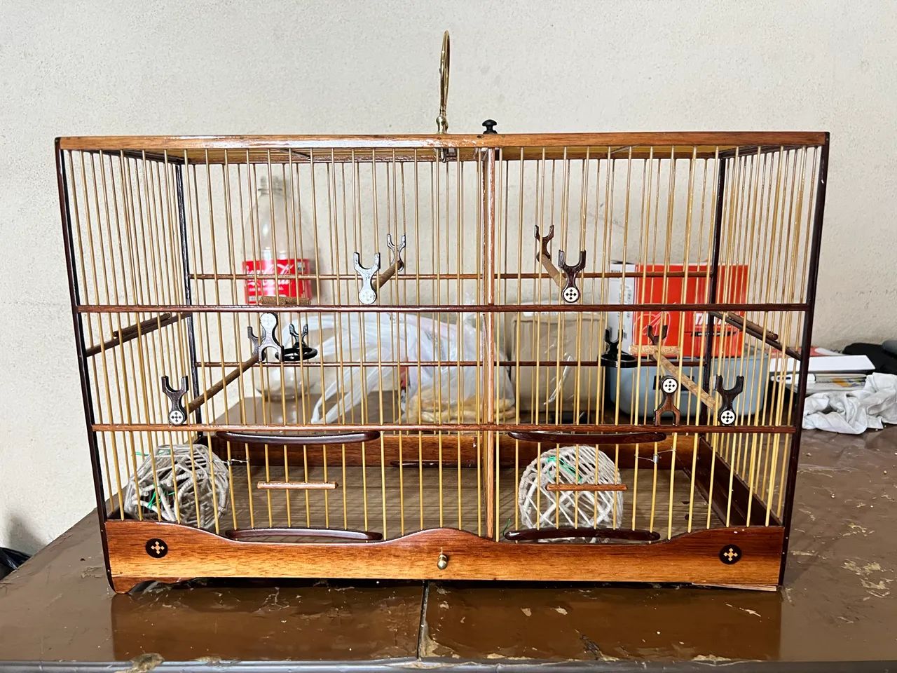 Voador de coleiro  - Foto 2