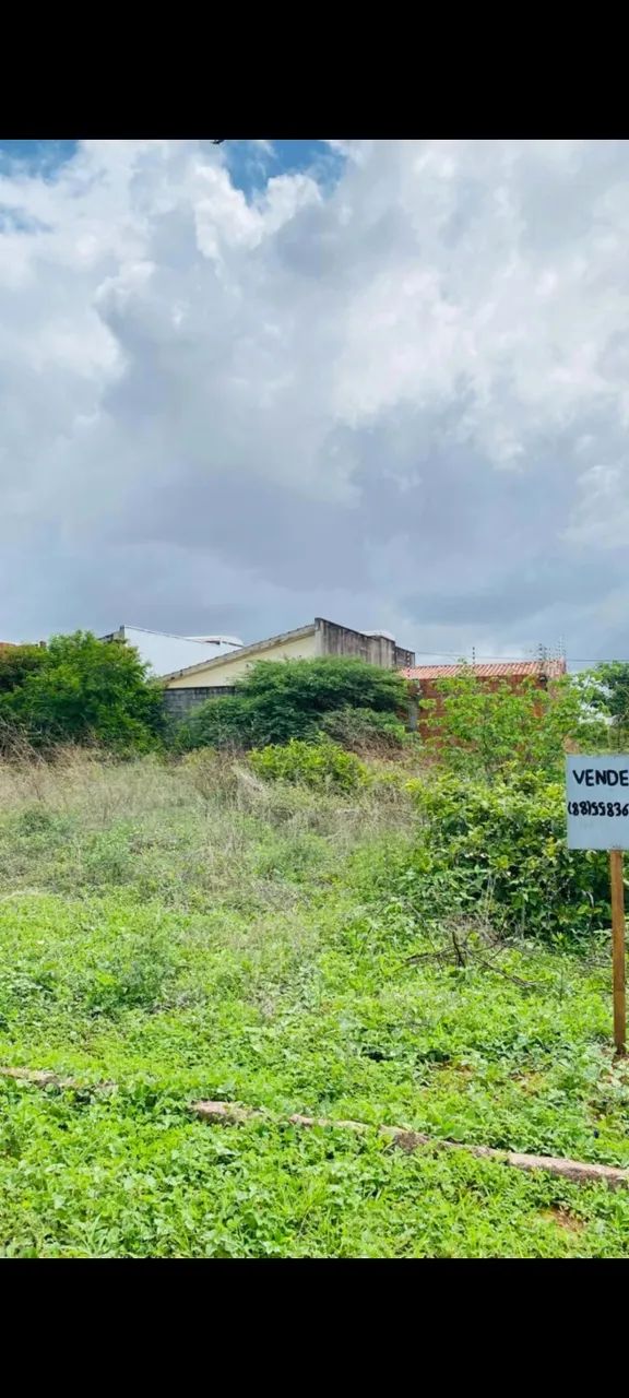 Foto - Juazeiro do Norte - Frei Damião