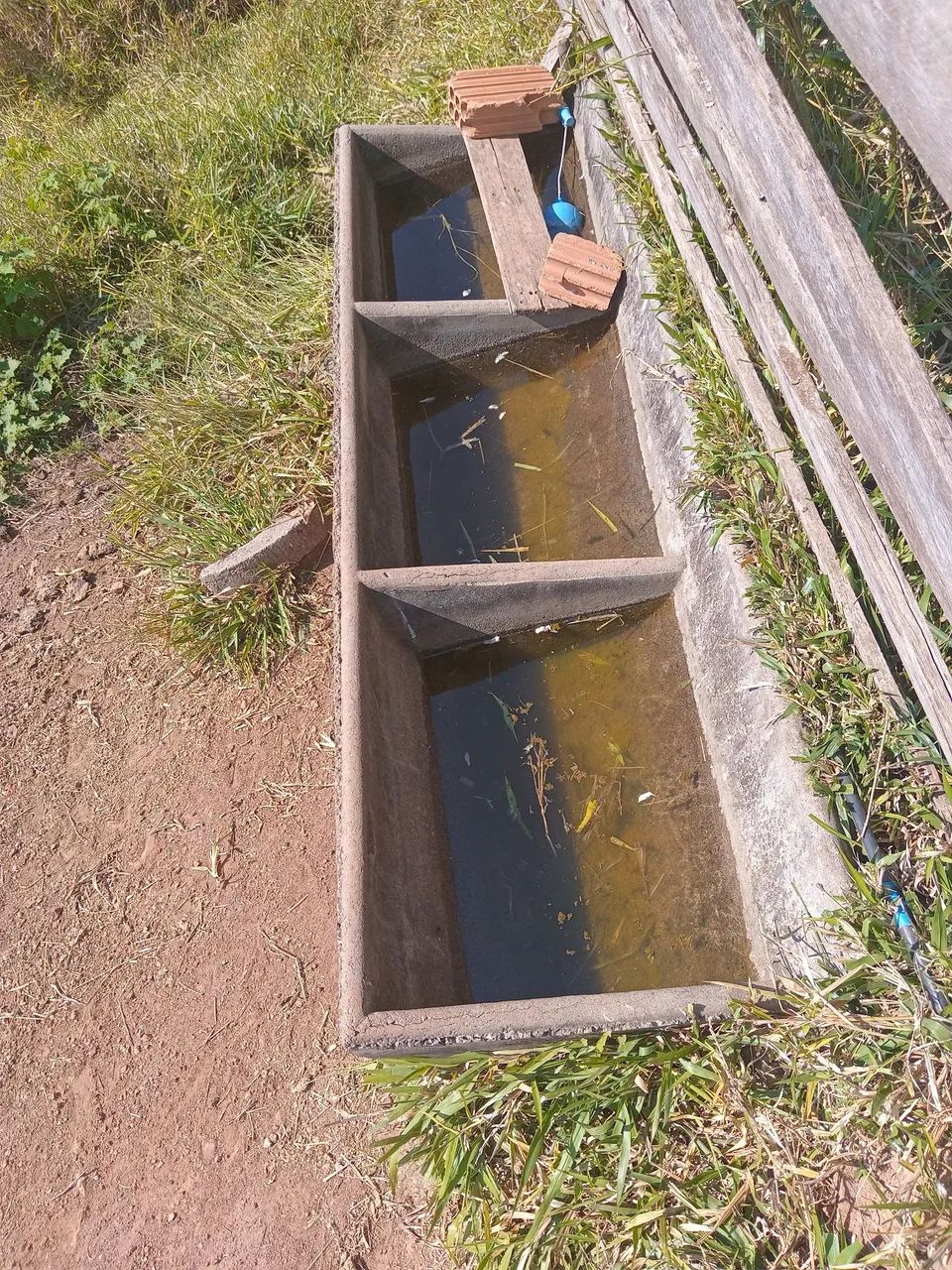 2 Cochos de concreto - Foto 2