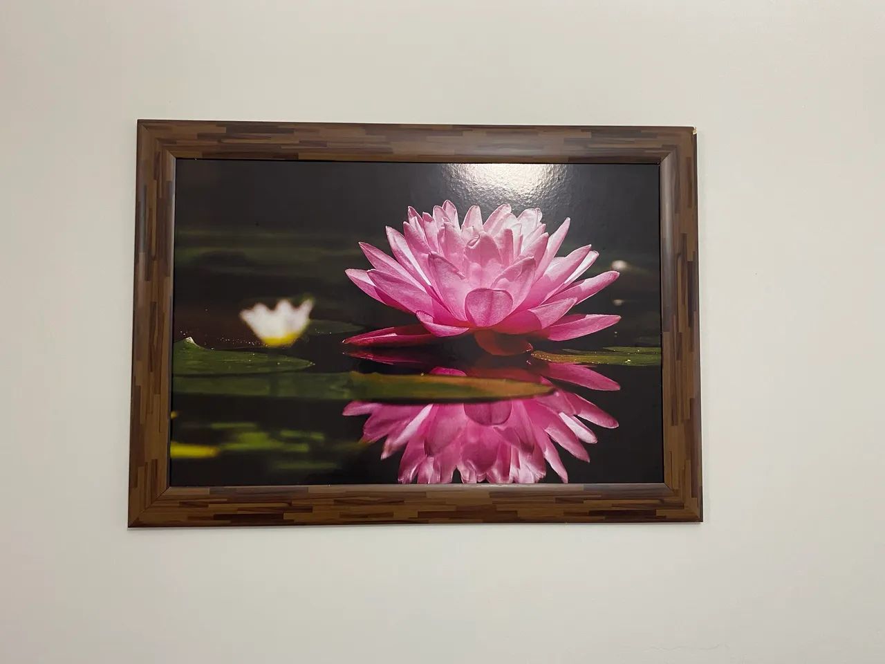 Quadro