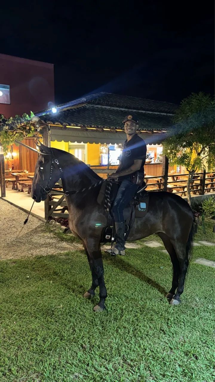 Cavalo  - Foto 2
