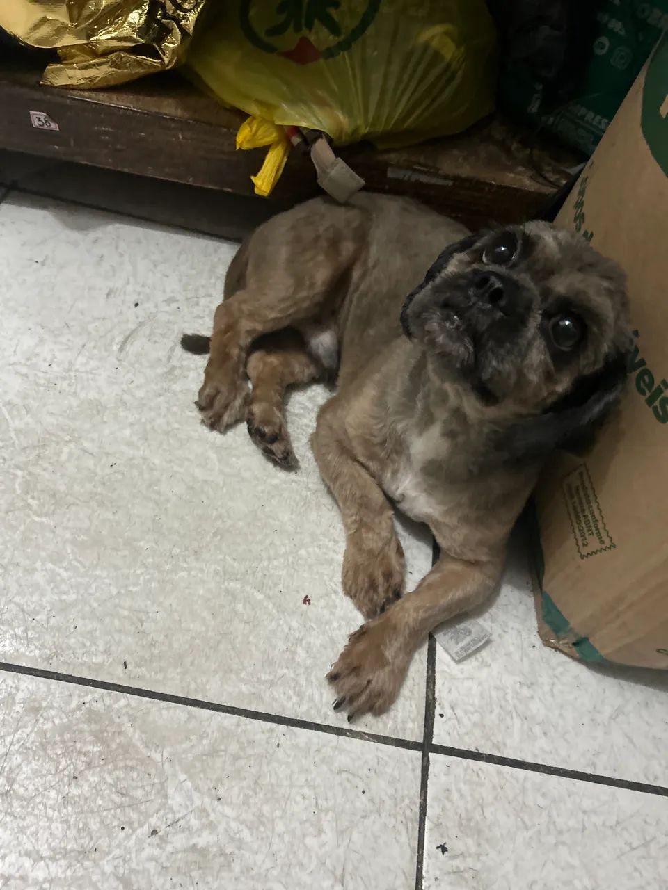 Vendo Shitsu