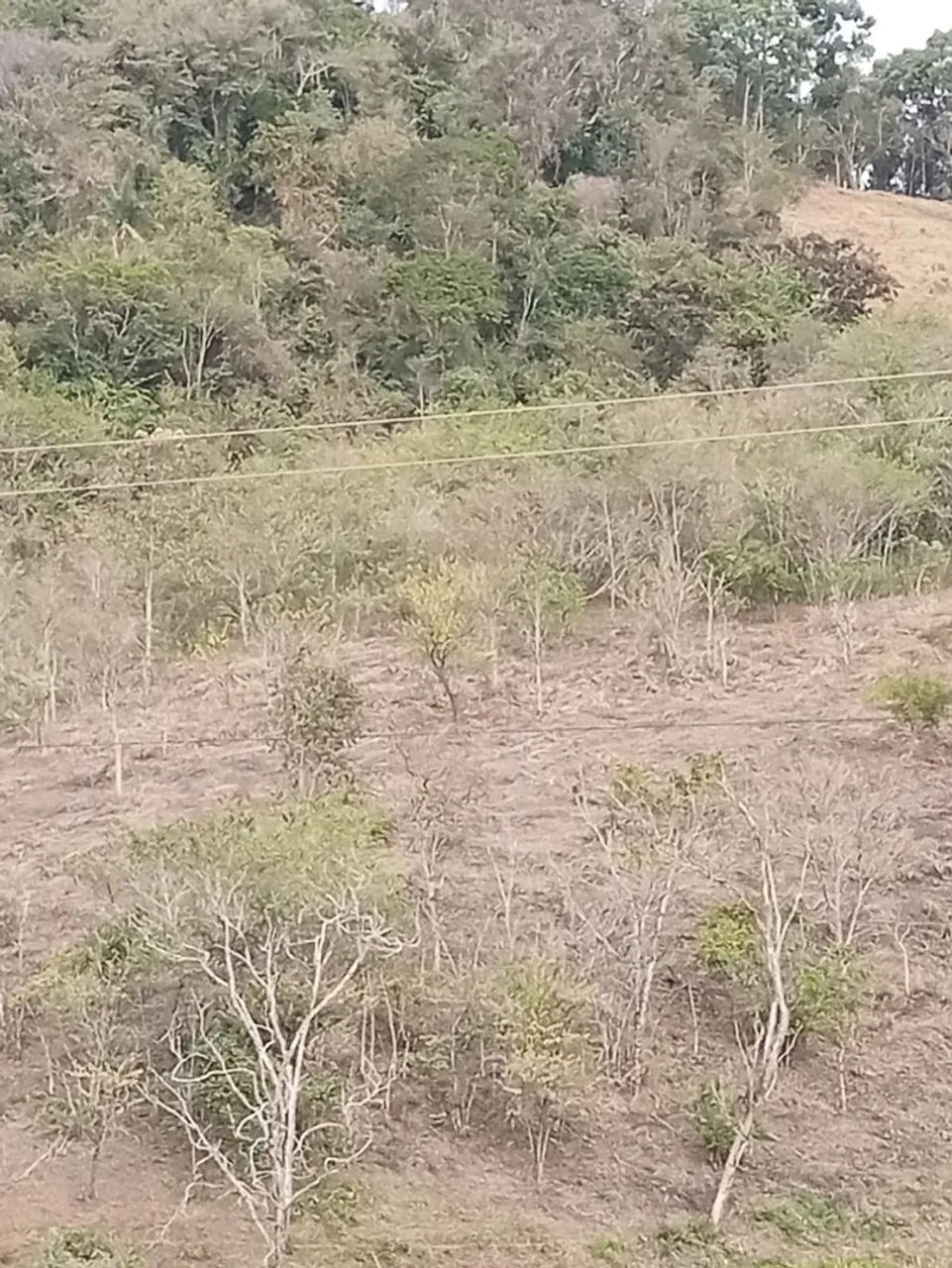 Terreno oportunidade  - Foto 5