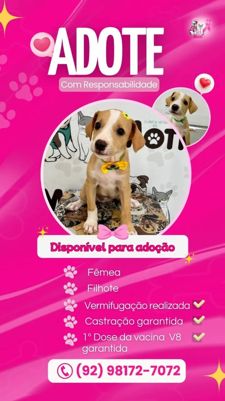 Doação 