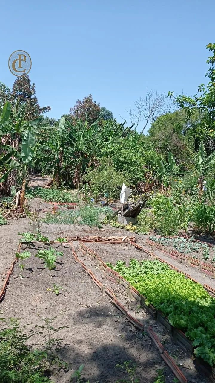 Terreno Comercial 2400m² Nova Jacareí SP