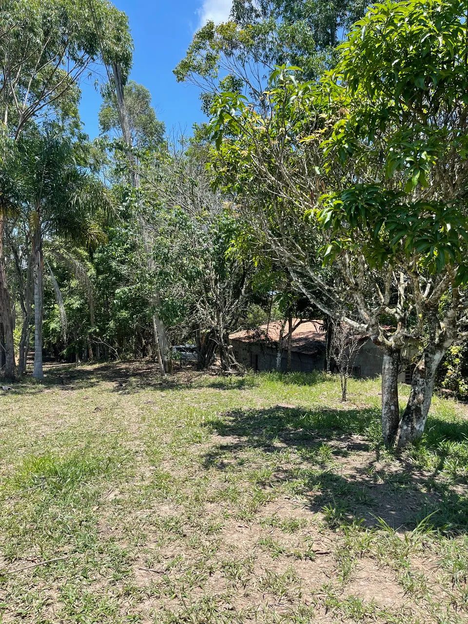 Foto - São José dos Campos - Jardim Oriente
