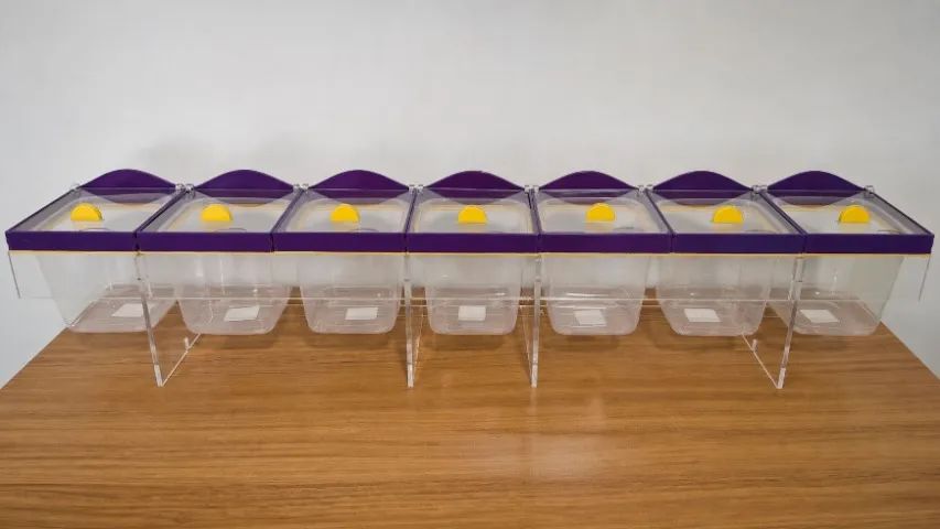 Kit para Acompanhamentos de Açaiteria - Organize seu Mix com Estilo - Foto 3