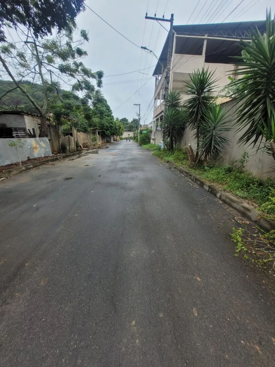 Lote Novo Brasil  - Foto 3