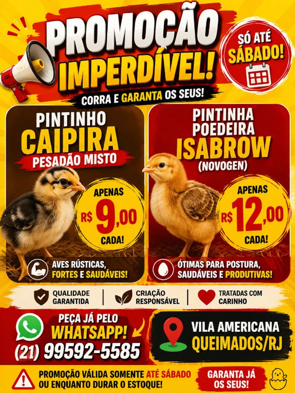 PINTOS ISABROW NOVOGEN
